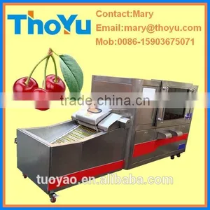 Professional Durable Cherry Stone Extracting Machine(SMS: 0086-15903675071) thumbnail-1