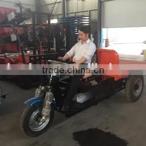 1t Flat Motor Tricycle for Sale thumbnail-1