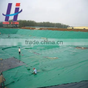 Hot Sales of Water Proof Material Fish Equipment Fish Farm Swimming Pool Shrimp Farm HDPE Geomembrane thumbnail-1