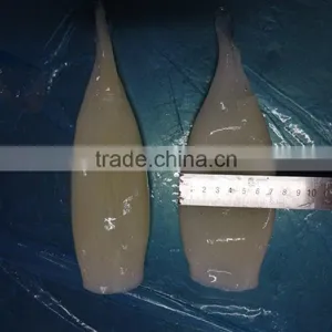 HACCP,QS Certification Frozen Illex Squid Tube thumbnail-3