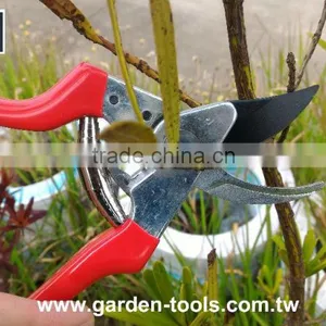 Professional Bypass Orchard Flower Vine Safety Lock Replaceable Hand Pruner thumbnail-5