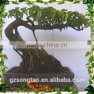 Best Price Hot Sale Domestic Artificial Small Bonsai Pine Tree thumbnail-6