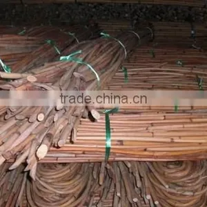 Red Water Rattan Cane thumbnail-6