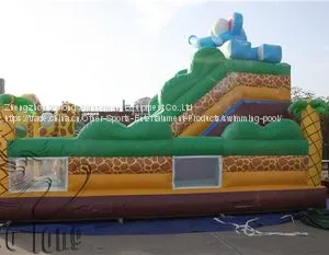 Wolong PVC Trapualin Inflatable Dry Slide, Inflatable Water Slides For Backyard thumbnail-2