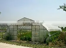 Agriculture Commercial Plastic Film Covered Greenhouses thumbnail-5