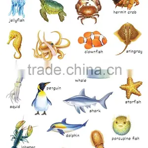 Wall Chart - FA0008E Sea Animals thumbnail-1