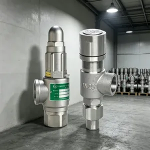 CB3022 Stainless Steel Safety Valve for Marine Compressed Air Systems thumbnail-5