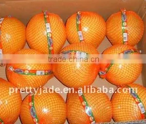 New Fresh Honey Pomelo thumbnail-1
