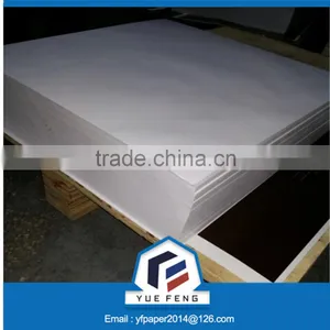 White Coated FBB Paper Board in Roll Made by Wood Pulp thumbnail-5