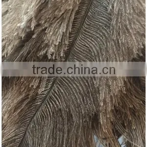 Ostrich Feather Duster for Kitcken thumbnail-4