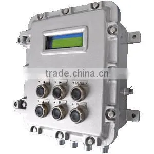 Belt Weigher Controller thumbnail-1
