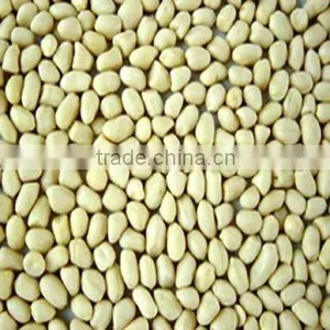 Blanched Peanut Kernel 25/29 thumbnail-1