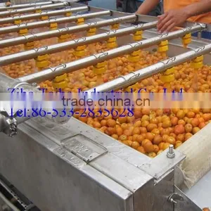 Fully Automatic Pomegranate Washing Machine thumbnail-3
