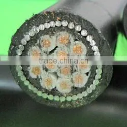 0.6/1KV Copper Steel Wire Armoured Control Cable thumbnail-1