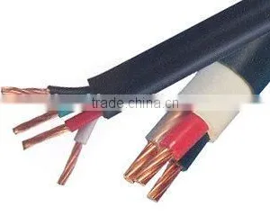 Factory Sale XLPE Insulated Multi-core Cables With Copper Conductor YXV-U,YXV-R,CU/XLPE/PVC N2XY thumbnail-1