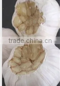 Garlic Cutting Machine/garlic Root Cutting/garlic End Cutter/root Concave Cutting Machine thumbnail-4