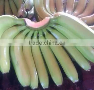 Indian Banana thumbnail-1