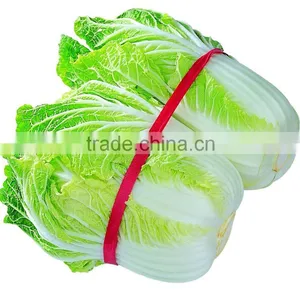 2015 Crop Good Quality Chinese Cabbage thumbnail-1