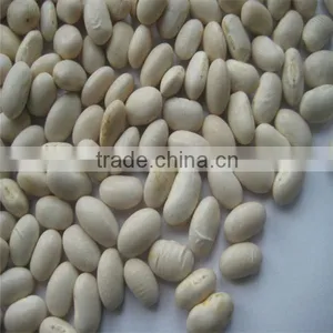 White Kidney Bean for Sale thumbnail-4