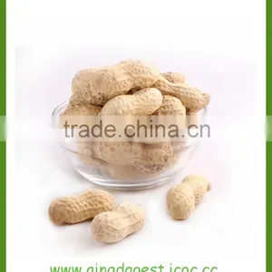 Peanut in Shell thumbnail-2