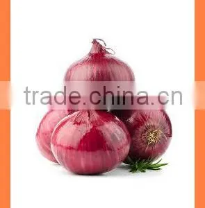 Fresh Red Onion FOR SALE thumbnail-1