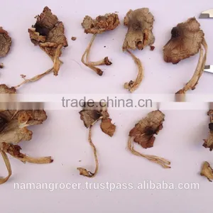 Dried Paddy Straw Mushroom (Volvariella Volvacea) thumbnail-5