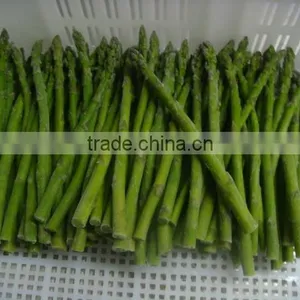 Top Quality Frozen Green Asparagus for 1 kg Packed per Carton thumbnail-3