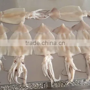 SQ-400 High Efficiency Fish Machine,fish Skinner,fish Skin Remover thumbnail-6