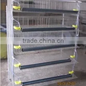 TAIYU Quail H-Type Cages Visit Customers Every Year thumbnail-1