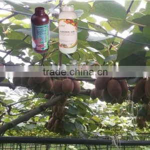 Liquid State and Controlled Release Type Organic Fertilizer thumbnail-3