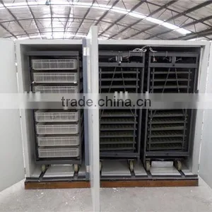 High Quality Automatic Peacock Hatching Eggs for Sale thumbnail-2