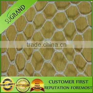 100% HDPE UV Agricultural Anti Bird Net / Fruit Tree Anti Bird Net thumbnail-5
