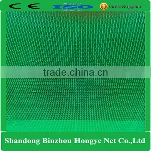 Cheapper Price!Hongye PET Green Scaffolding Safety Net for Construction thumbnail-1