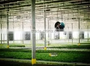 Newest Air Circulation Fan for Greenhouse or Poultry thumbnail-5