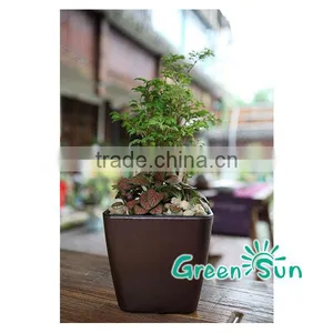 Plastic Flower Pots thumbnail-1
