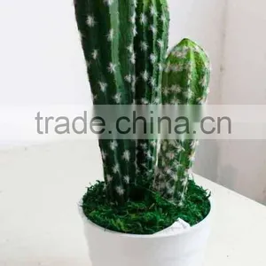 Mini-artificial Bonsai Hotsale Cactus Bonsai Plants Ornamental Green Plants thumbnail-1