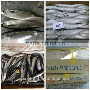 Cheap Price Frozen Atlantic Mackerel thumbnail-2