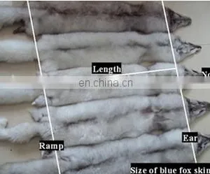 Hot Selling Blue Fox Fur Skin / Natural Blue Fox Fur Skin / High Quality Cheap Fox Fur Skin thumbnail-2