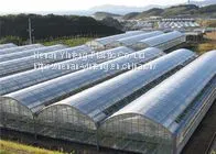Plastic Greenhouse Cover thumbnail-3