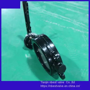 Steel Lever Wafer CI Body Butterfly Valve Coating Proof Corrosion Paint thumbnail-2