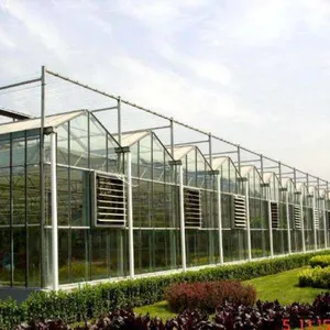 Large Size Multispan Glass Greenhouse as Exhibition Hall thumbnail-5
