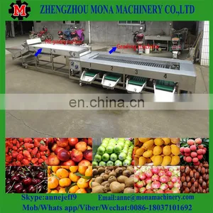 3ton/h Food Grade Industrial Fruit Fish Cassava Fruit Washing Grading Waxing Machine thumbnail-1