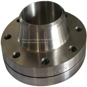 Long High Neck Flange High Quality OEM Precision Cast Steel Female Weld Long High Neck Flange thumbnail-1