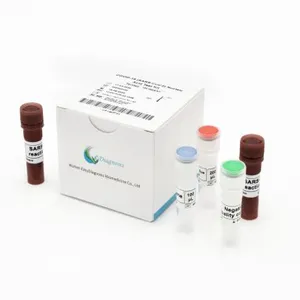 COVID-19 (SARS-CoV-2) Nucleic Acid Test Kit thumbnail-1