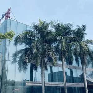Shenbo Special Architectural Glass Industrial Co., Ltd. company overview - view 1 thumbnail