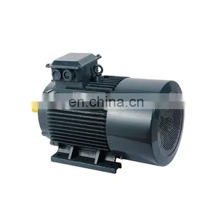 300 hp Electric Motor Y2-355M1-2 thumbnail-1