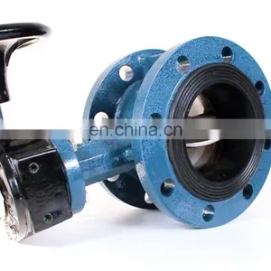 BS JIS ASMI Double Flange Butterfly Valve thumbnail-1
