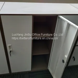 Office Furniture Storage Clothes Two Door Steel Locker for Staff Gym thumbnail-5