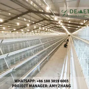Ethiopia Layer Chicken Cage Equipment thumbnail-1