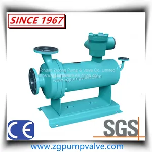 Canned Motor Self-Priming Pump/Shield Pump Self Suction Pump thumbnail-4